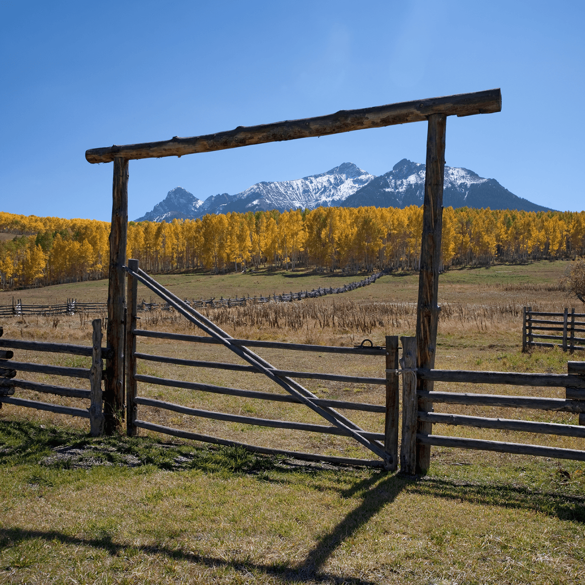 Horse and livestock owners in Colorado