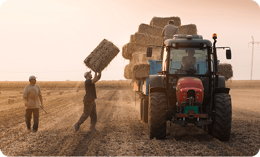 Tractor loading hay bales